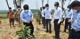 জেলা জুড়ে পালিত হল বিশ্ব পরিবেশ। দিবস ।