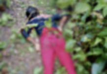 হাতির হানায় মৃত্যু এক যুবতীর আহত এক যুবক।