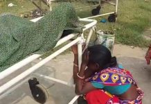 মাটির নিচের অজানা ফল খেয়ে মৃত্যু।