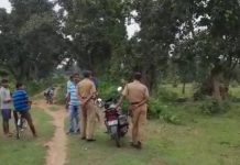 শিয়ালের কামড়ে জখম ১১, এলাকায় চাঞ্চল্য