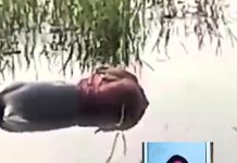 অন্ধবিশ্বাসে প্রাণ গেল যুবতীর ।