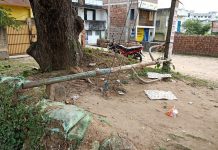ত্রিফলা বাতি নিয়ে দুর্নীতির অভিযোগ।